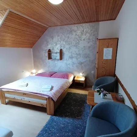 Penzión pre hostí Anna *