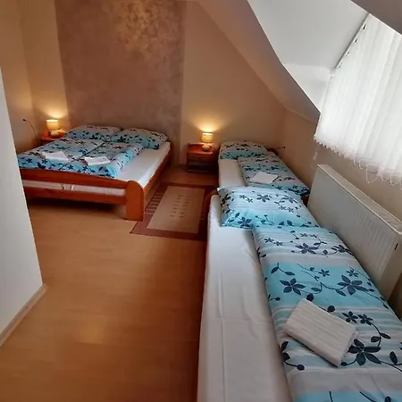 Penzión pre hostí Anna *